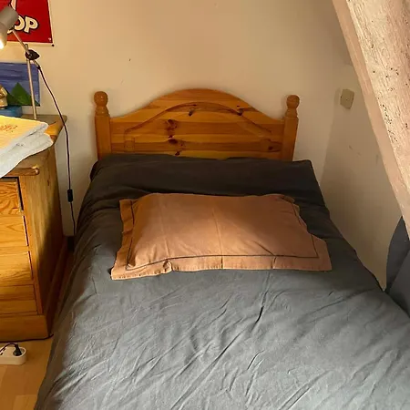 Prés De L'aeroport Séjour chez l'habitant Ossun